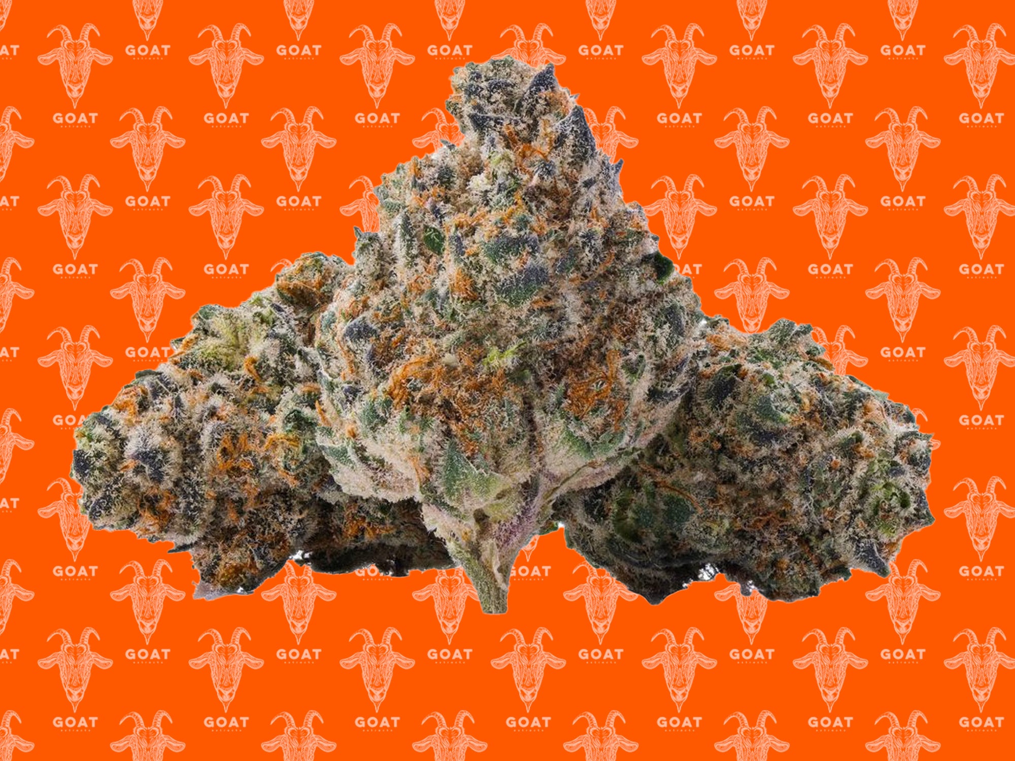 THCa Flower